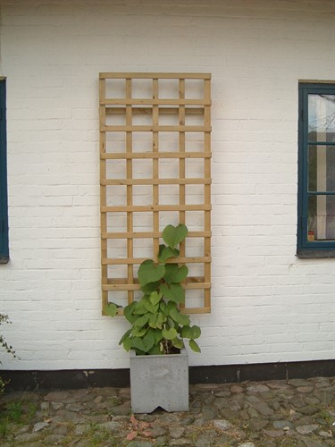 Spaljé Trä, rekt 80 x 180 cm